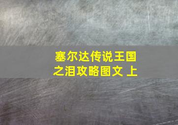 塞尔达传说王国之泪攻略图文 上